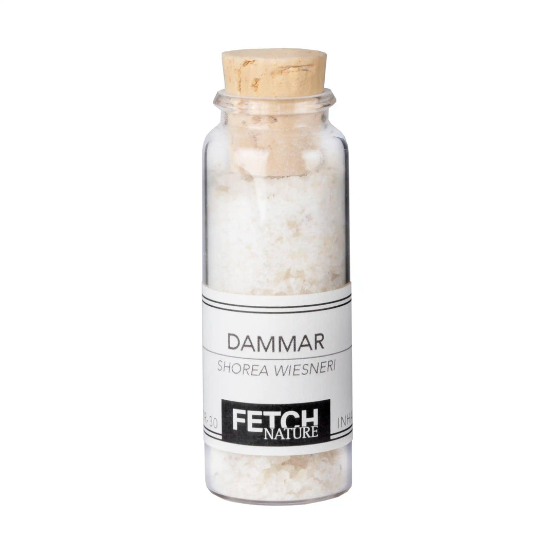Dammar