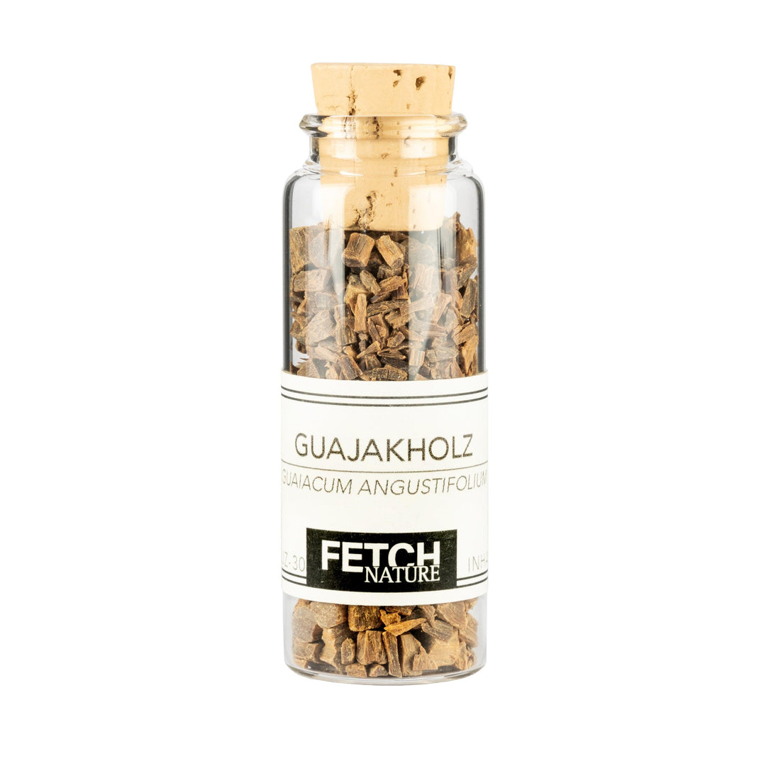 Guajakholz (Guaiacum officinale)
