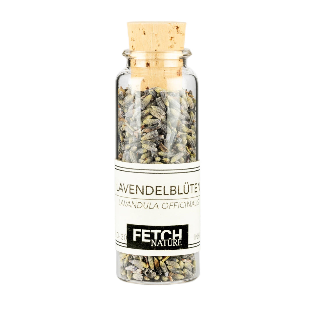 Lavendelblüten (Lavandula officinalis)