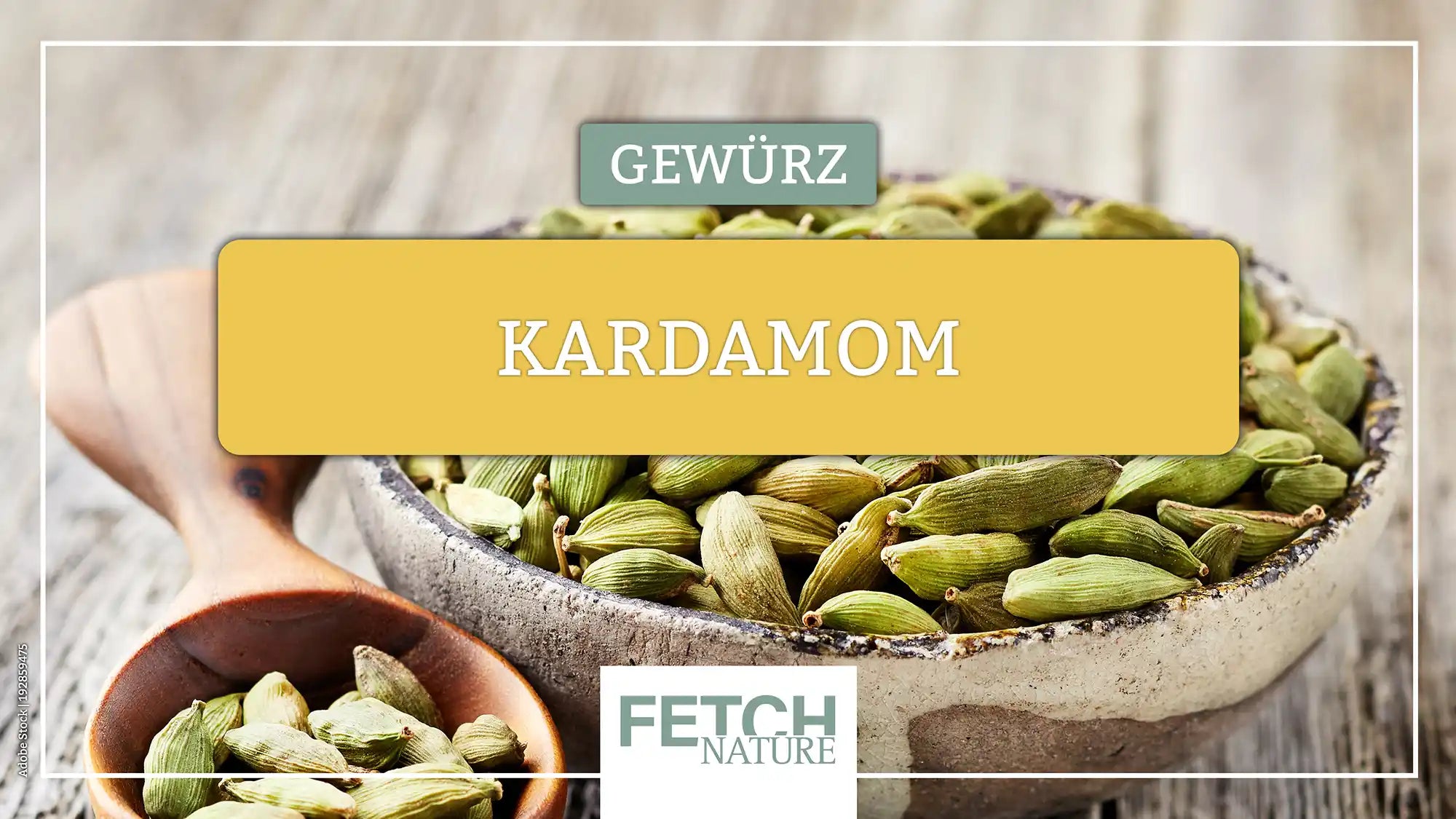 Kardamom: Das vielseitige Gewürz - Anbau, Verwendung und gesundheitliche Vorteile