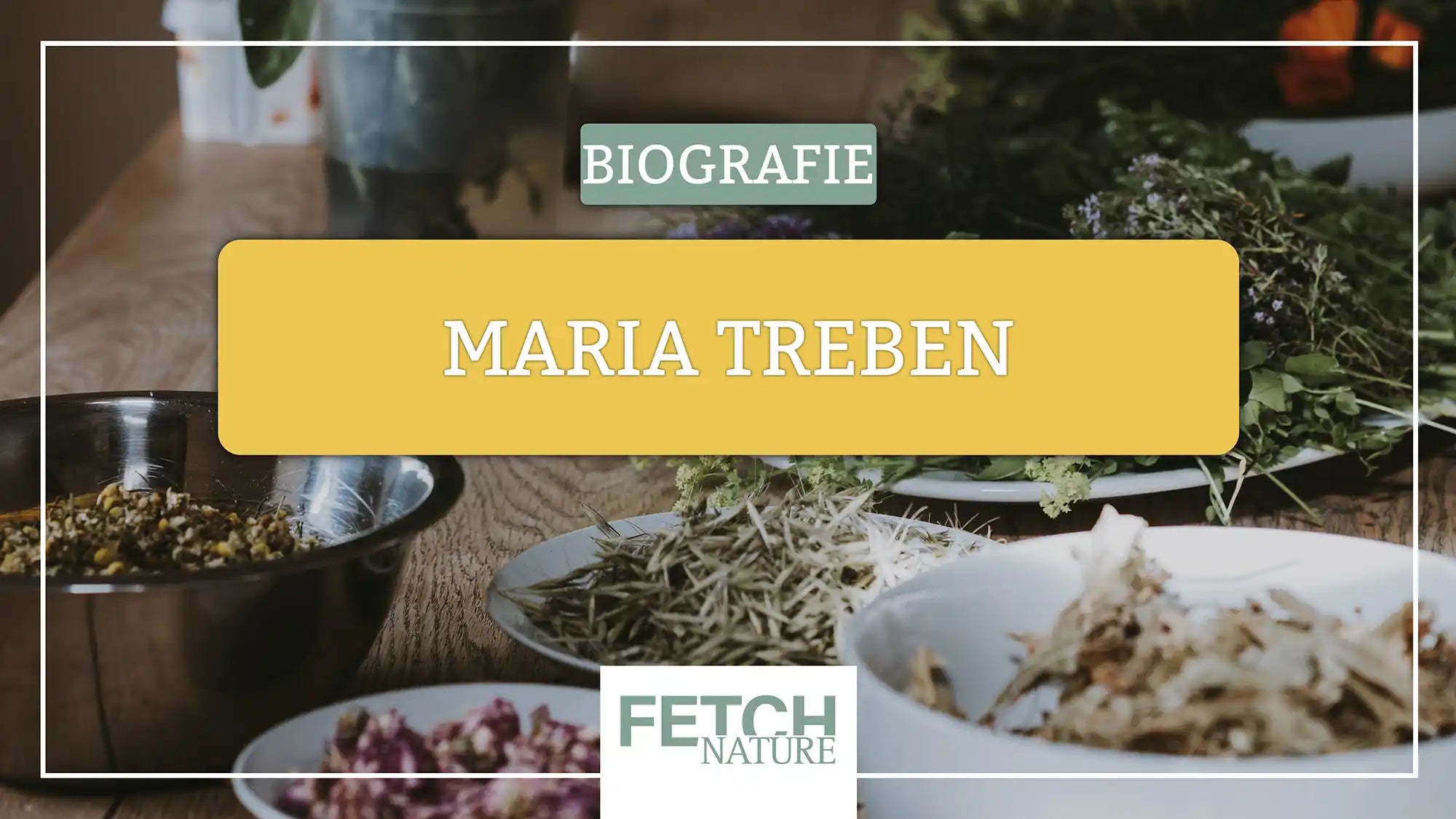 Maria Treben: Eine Ikone der modernen Kräuterheilkunde