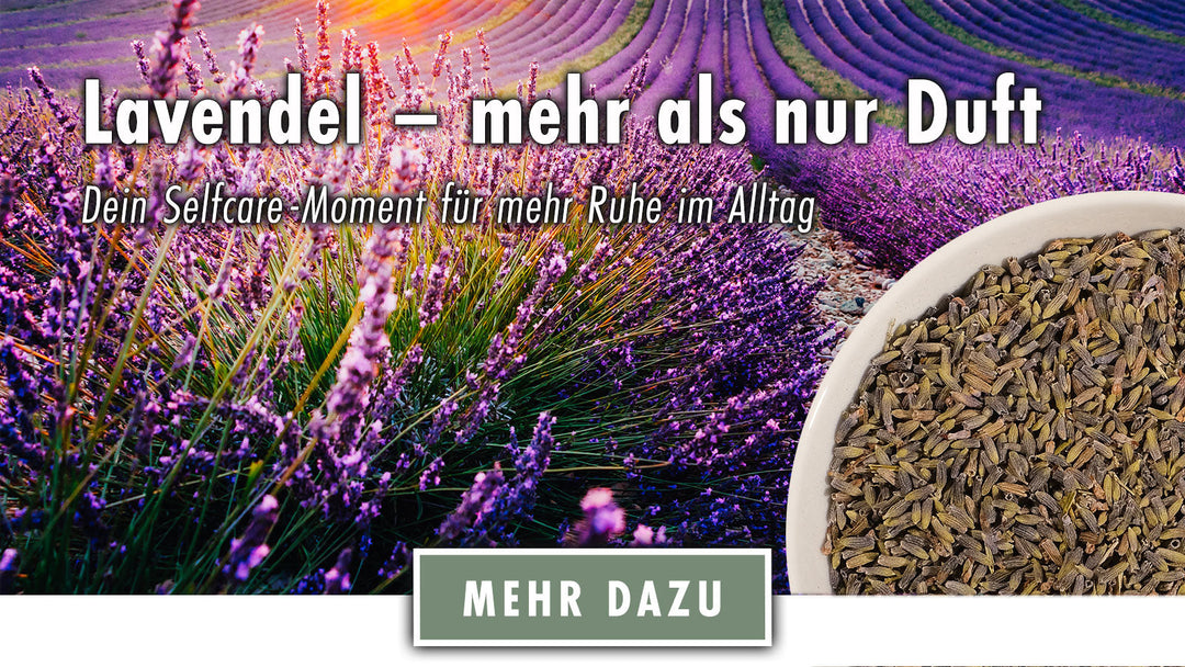 Lavendel – mehr als nur Duft