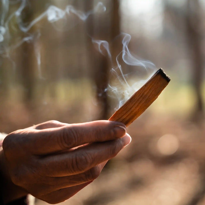 Премиальные коптильные дрова Palo Santo из Перу, 8 шт.