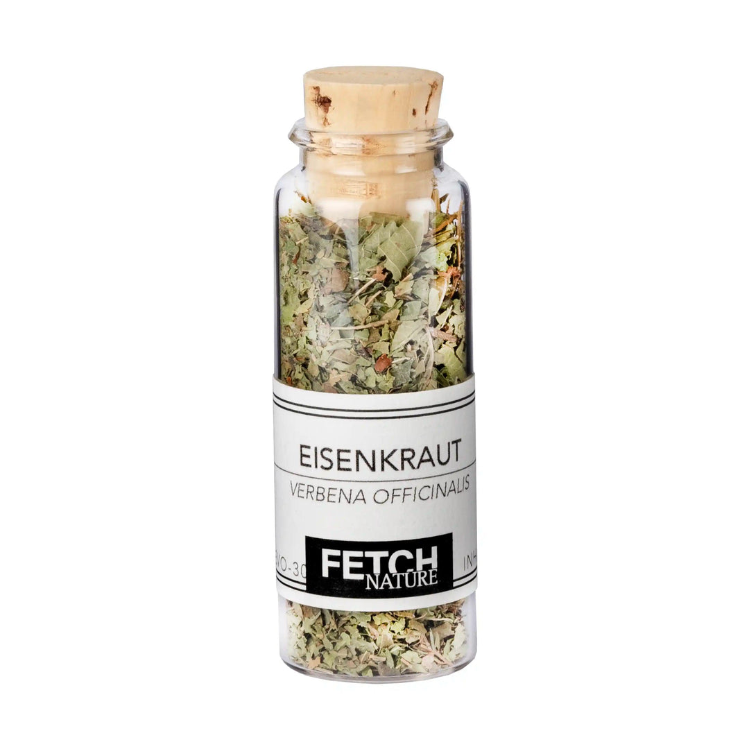 Eisenkraut (Verbena officinalis)