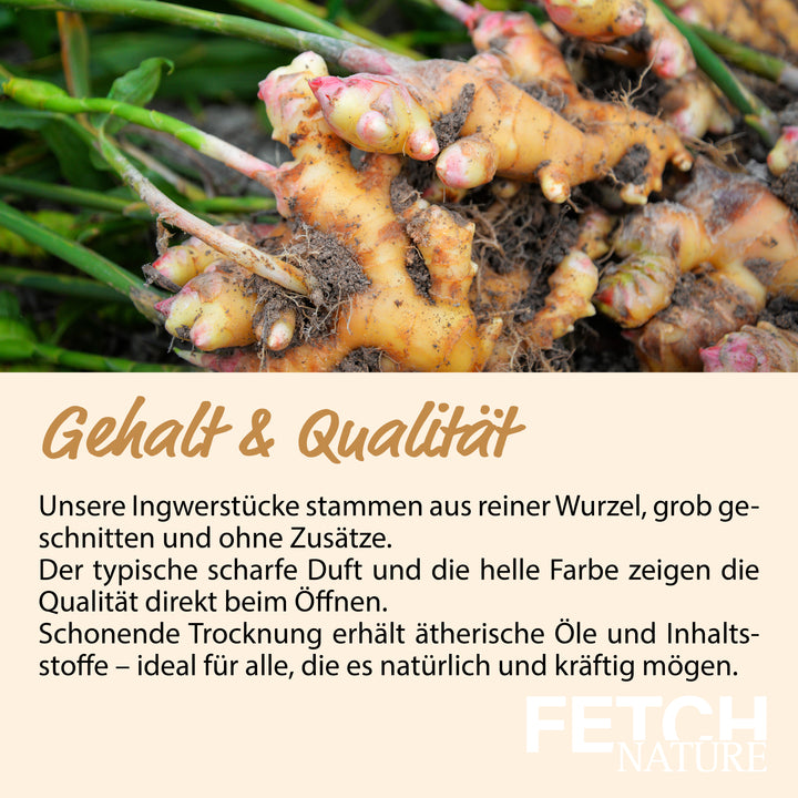 Ingwer geschnitten