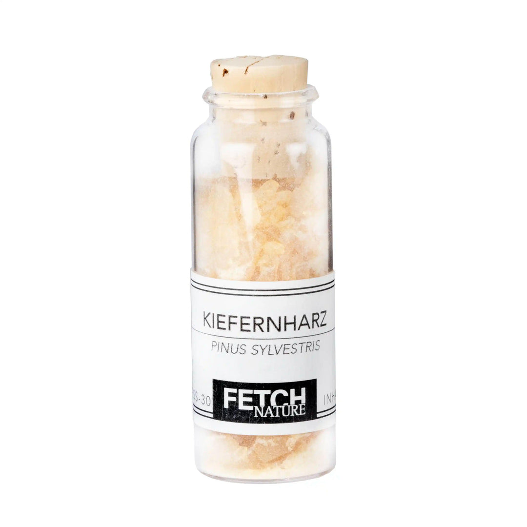 Kiefernharz