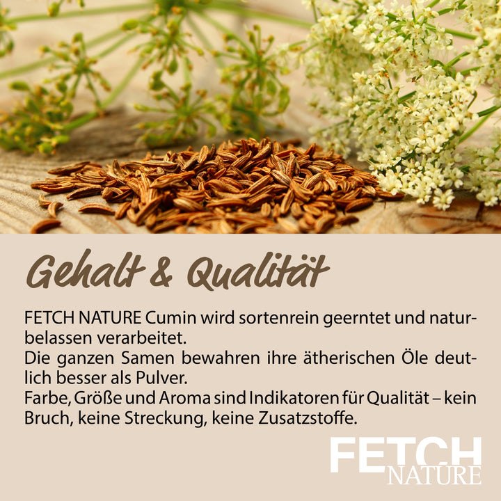 Kreuzkümmel - Cumin