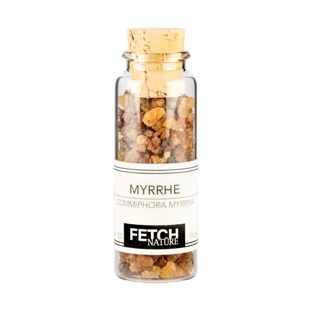 Myrrhe (Commiphora myrrha)