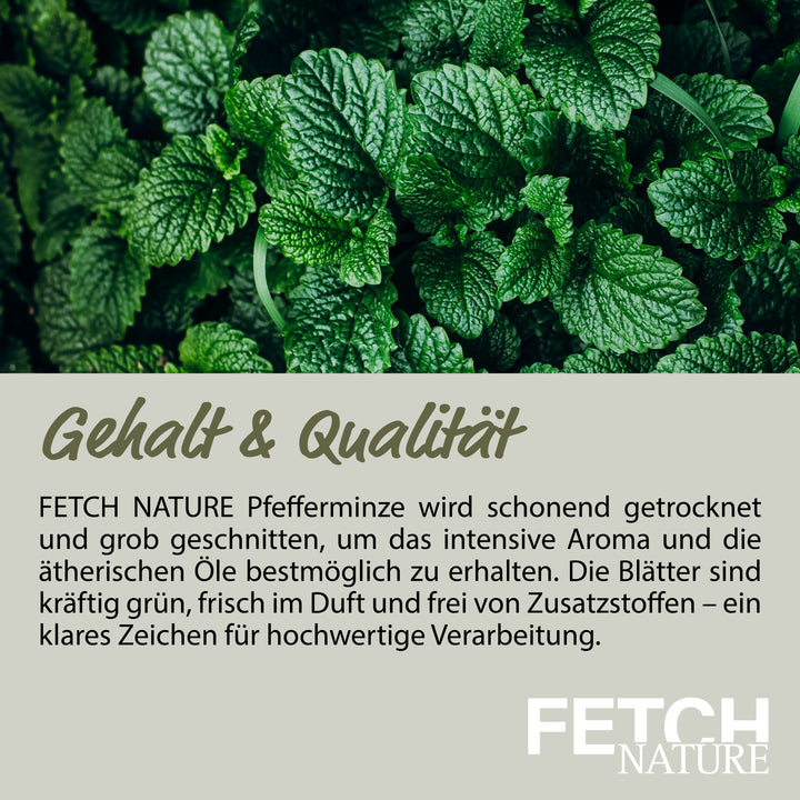 Pfefferminzblätter