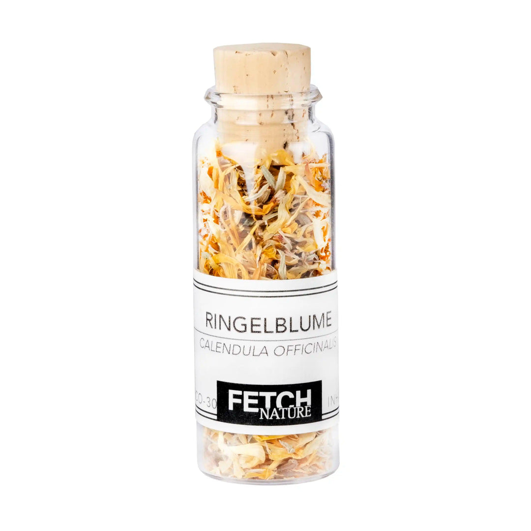 Ringelblume (Calendula officinalis)